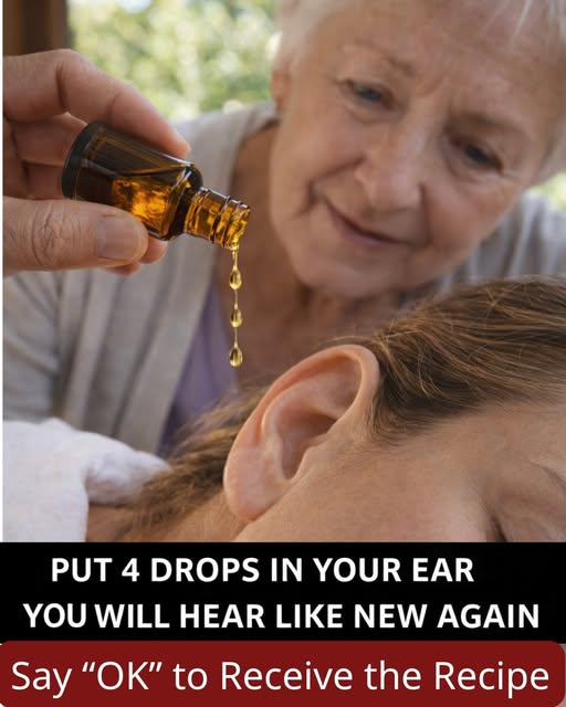 644338475 122100758498032738 2278484527694947400 n