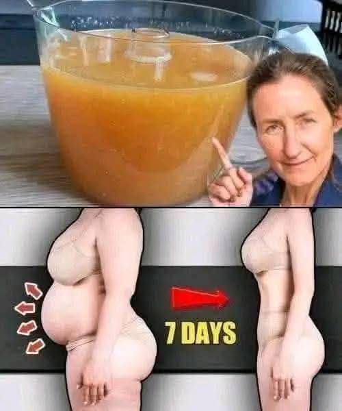 644521274 4230720343842766 2769767391865837764 n