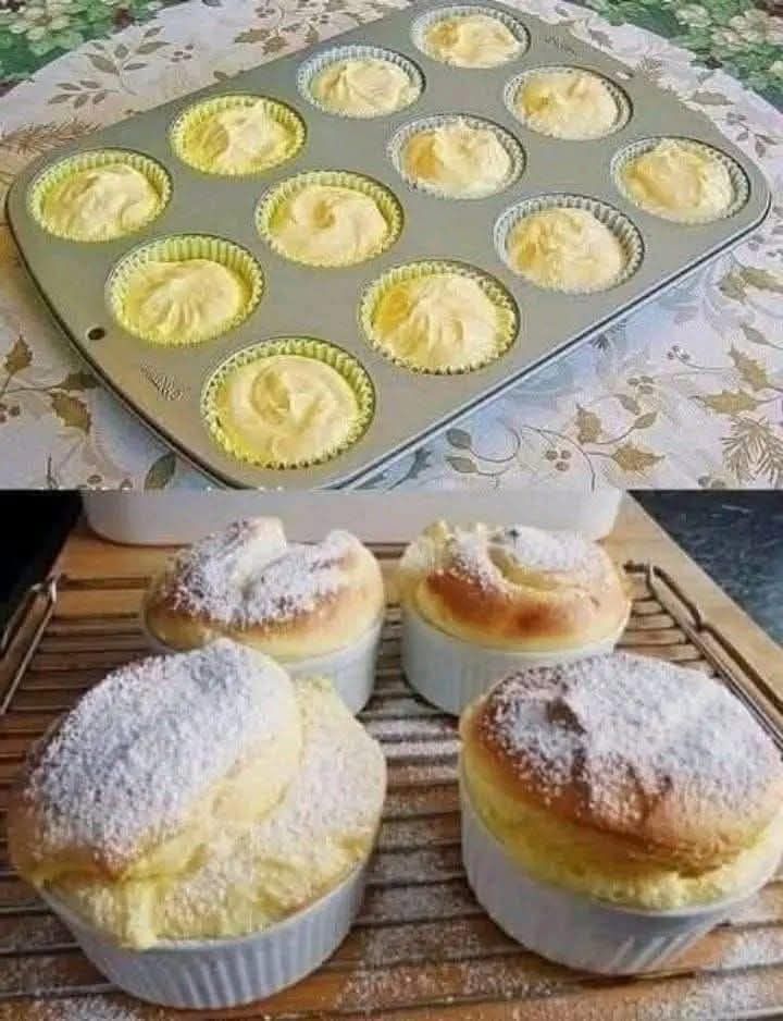 645170176 33912874515022691 3583356951787421254 n