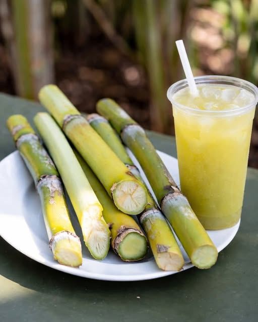 645432750 122126816919053837 422047526034072020 n