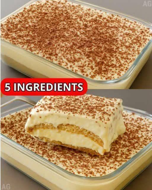 646135467 960115606696266 3999278533110835153 n