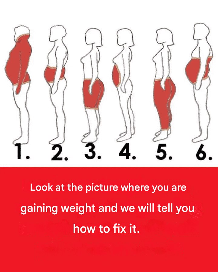 646466129 1866545161402997 7013541646153312692 n