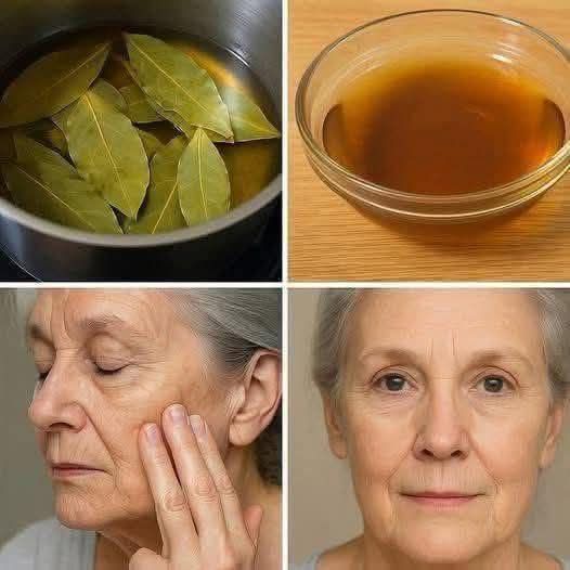 646740335 4447351585589667 4542475471434656220 n