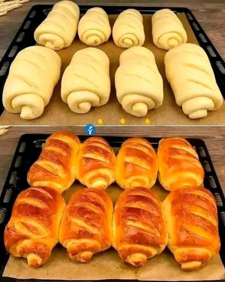 647167743 122210088542566851 7306465651274933877 n