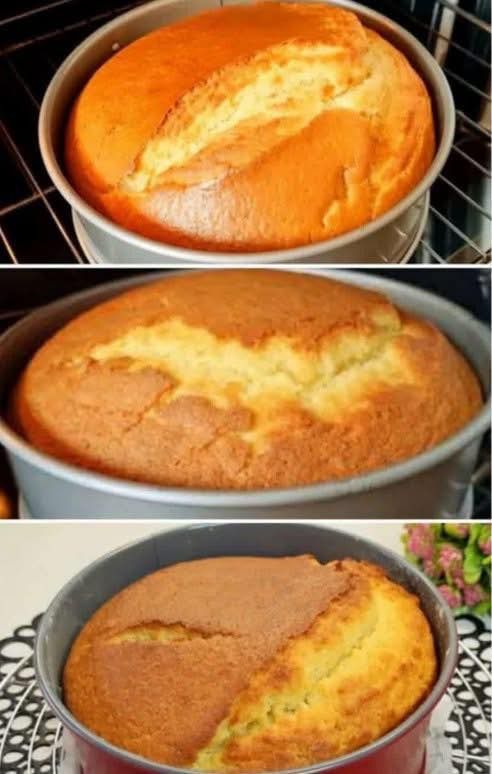 647611819 960142873360206 5985982622736239830 n