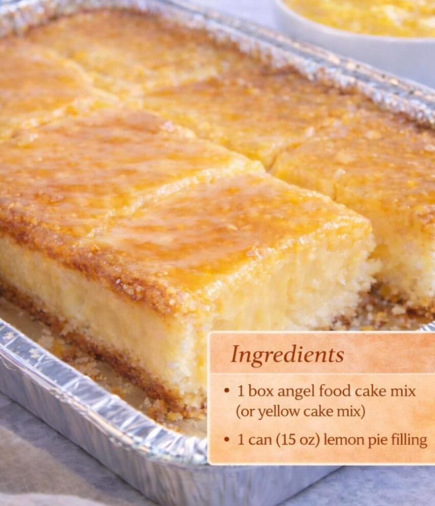 648168638 911114545110468 8291909063063565813 n